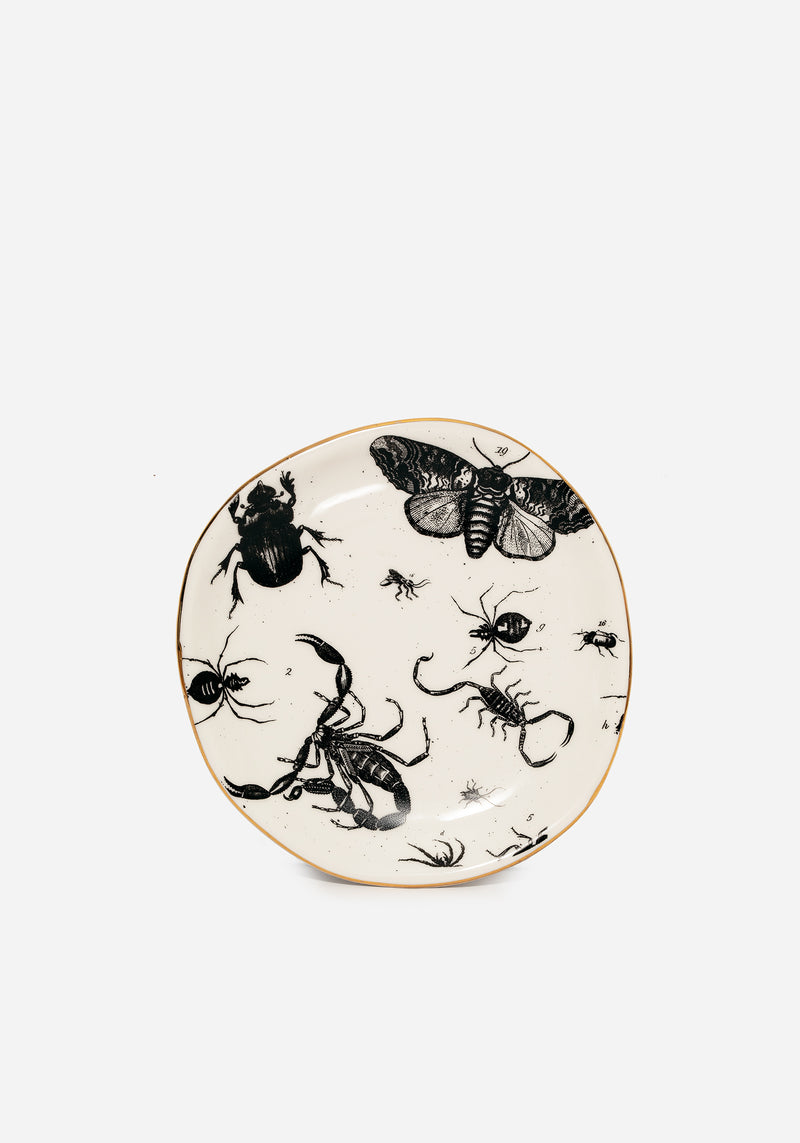 Parasite Bugs Print Trinket Dish