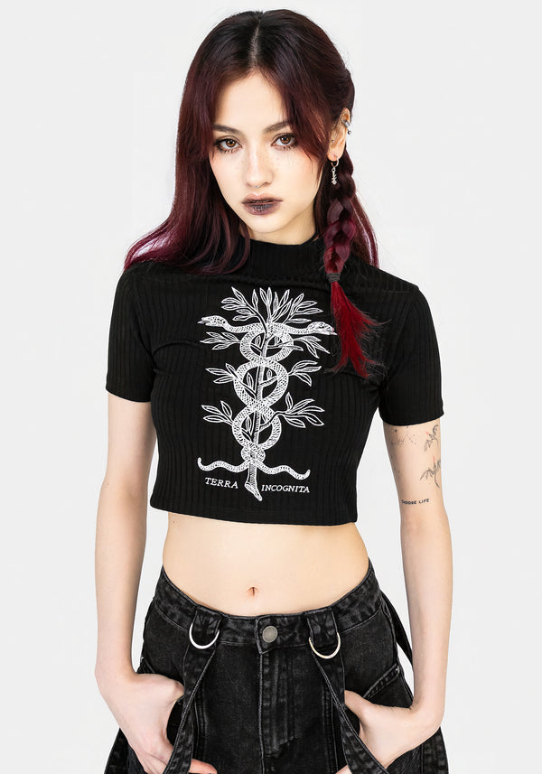 Caduceus Embroidered High Neck Crop Top