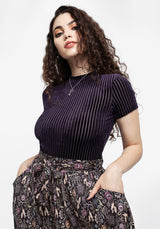 Dysnomia Ribbed Velvet Crop Top