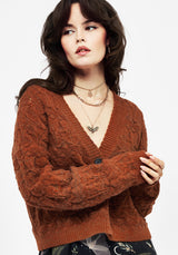 Cadmium Pointelle Knit Cardigan