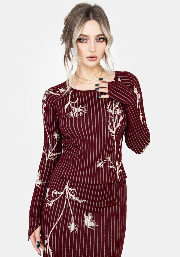 Diastella Floral Jacquard Rib Knit Raglan Sleeve Top - Red