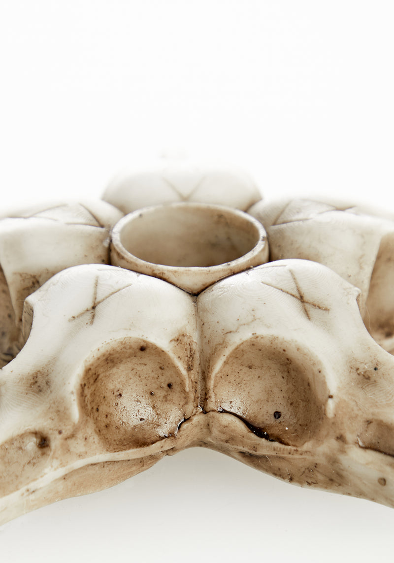 Raven Skull Candle Holder