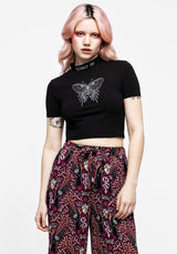 Dolore Rib Embroidered Crop Top