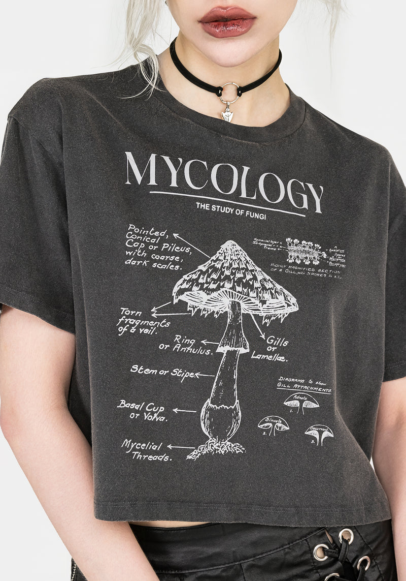 Mycology Boxy Crop T-shirt