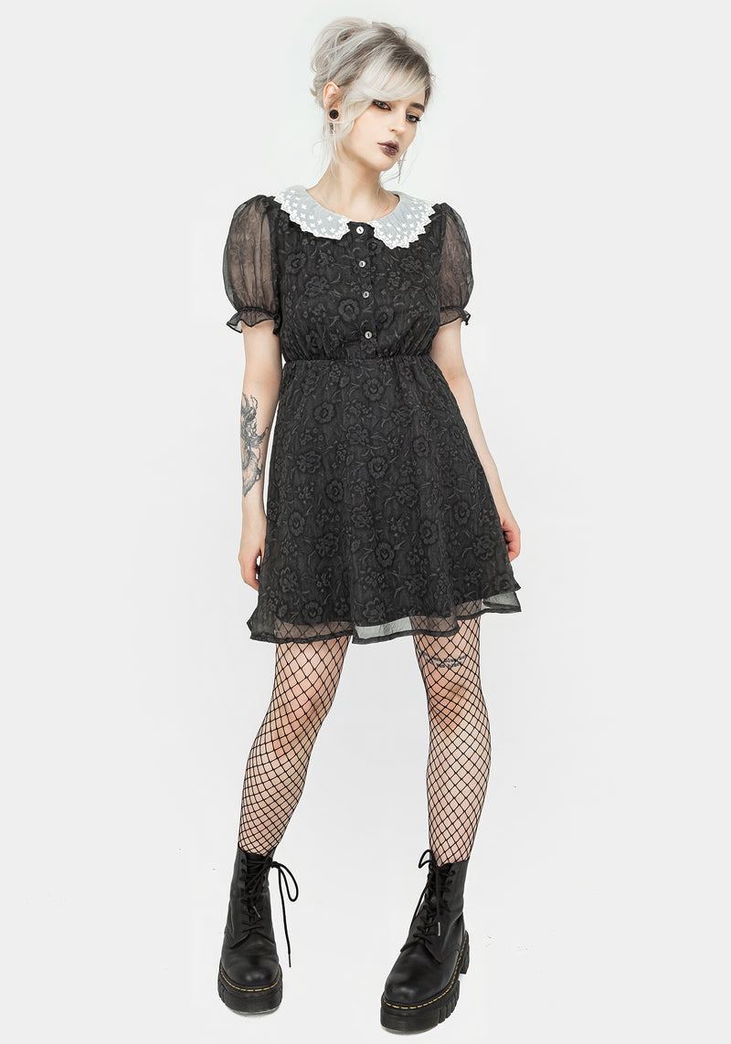 Phantasma Lace Collar Mini Dress