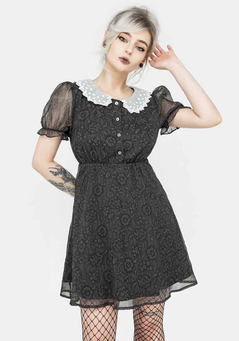 Phantasma Lace Collar Mini Dress