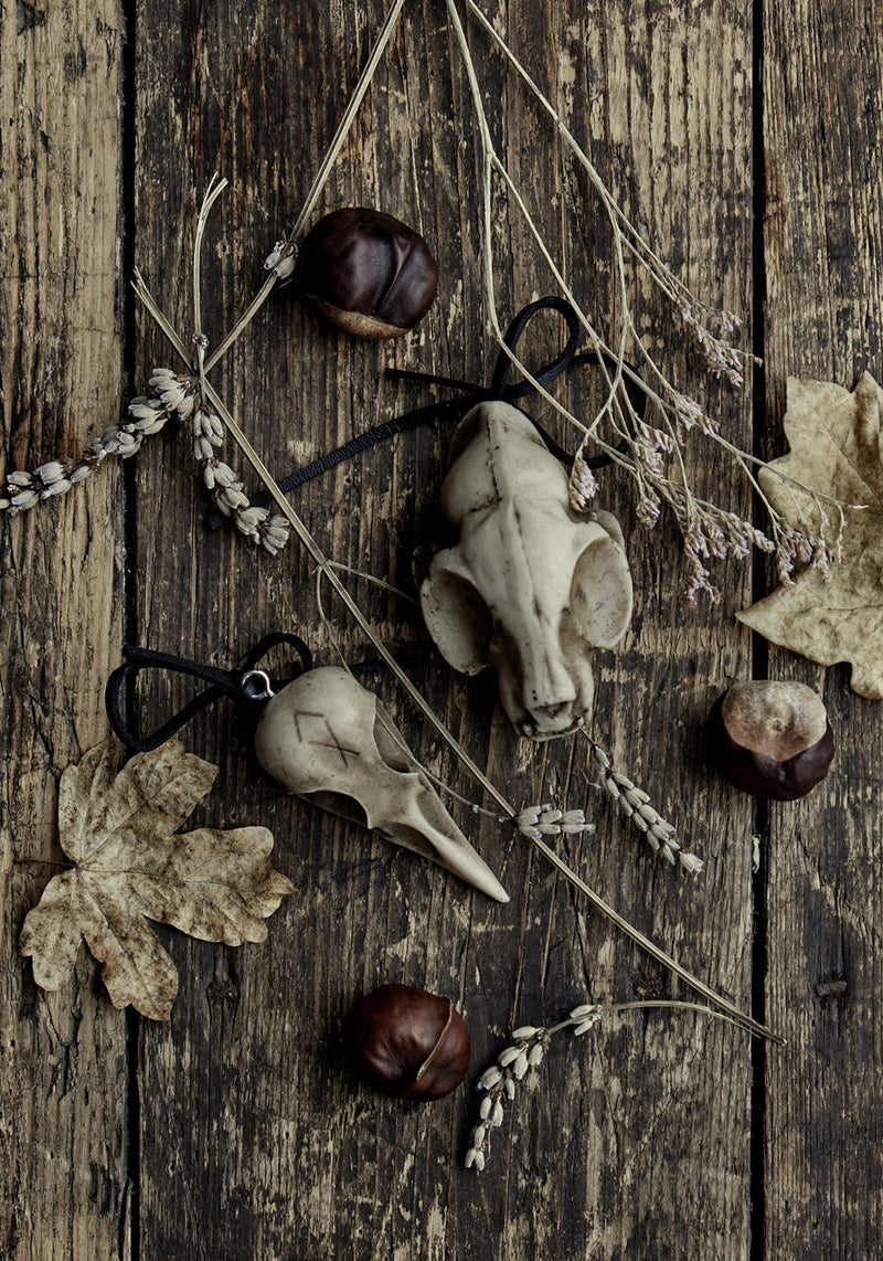 Raven Skull Offering